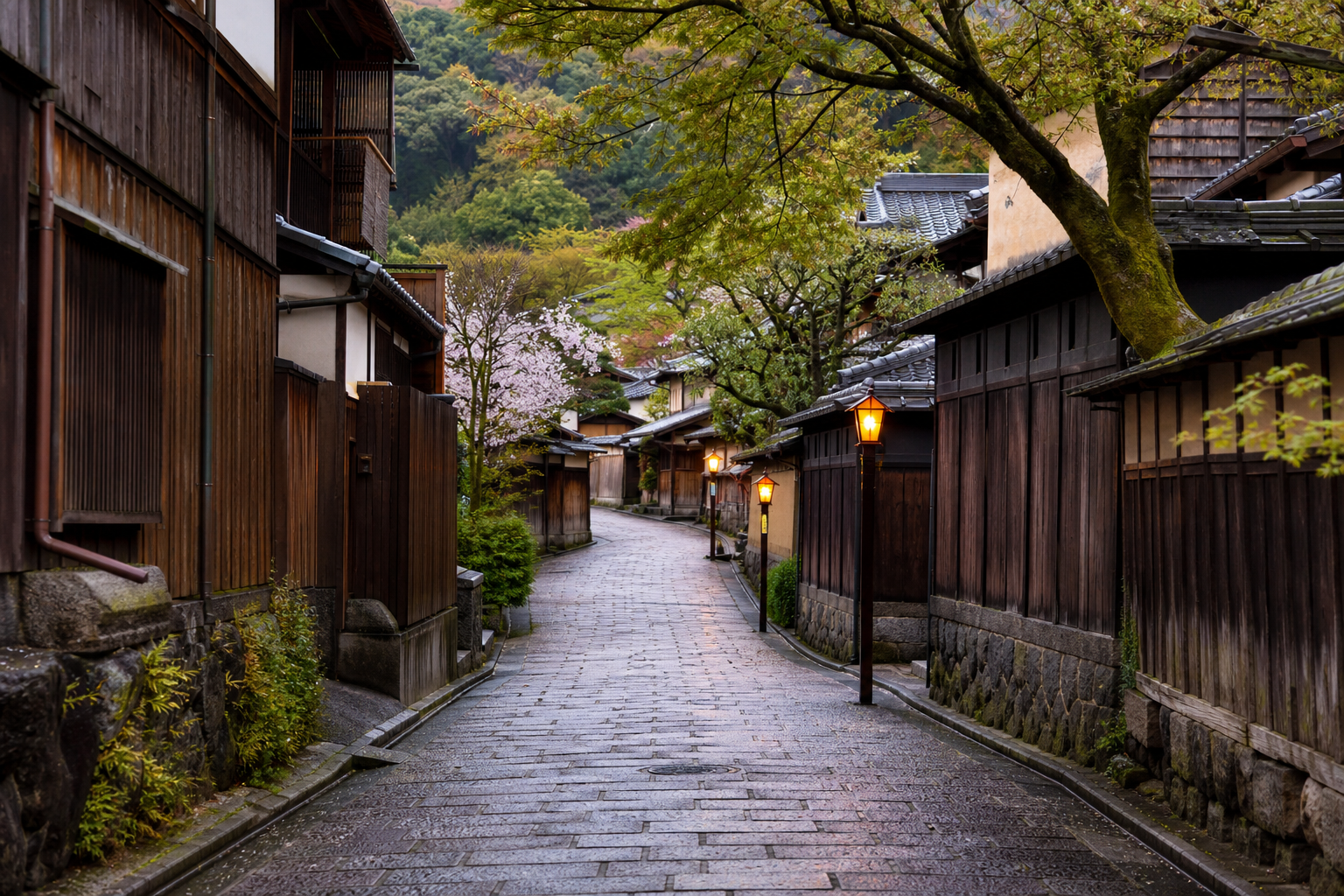 Kyoto travel scene